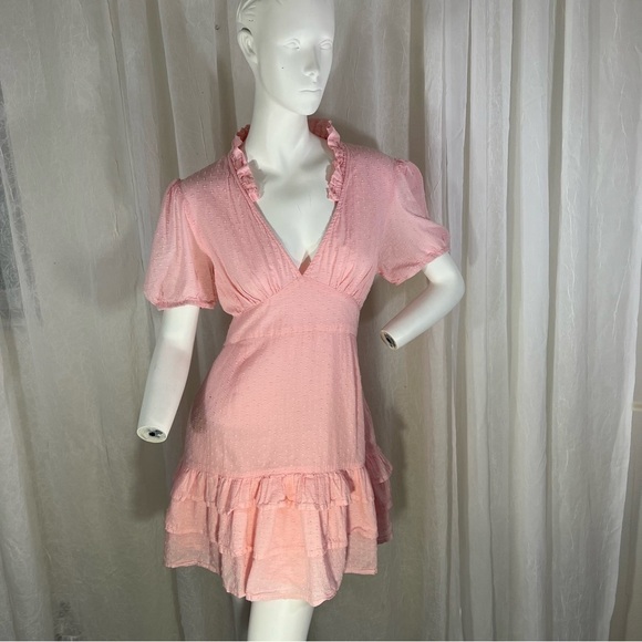 NEON Rose Ruffle V-Neck Pink Fit and Flair Dress with Swiss Dots & Ruffle Hem L - Picture 11 of 14